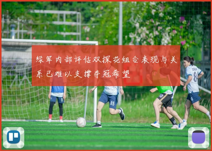 绿军内部评估双探花组合表现与关系已难以支撑夺冠希望