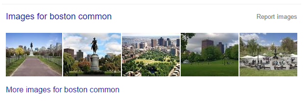 搜索“boston common”将在主SERP上显示谷歌图像搜索结果的预览。